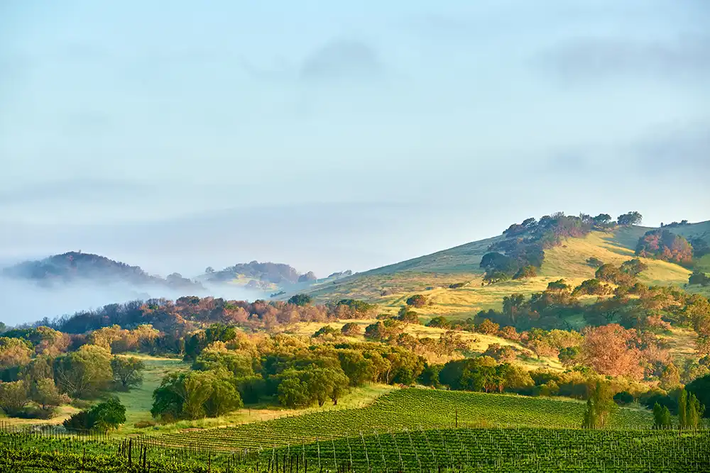 The hills in Petaluma, California